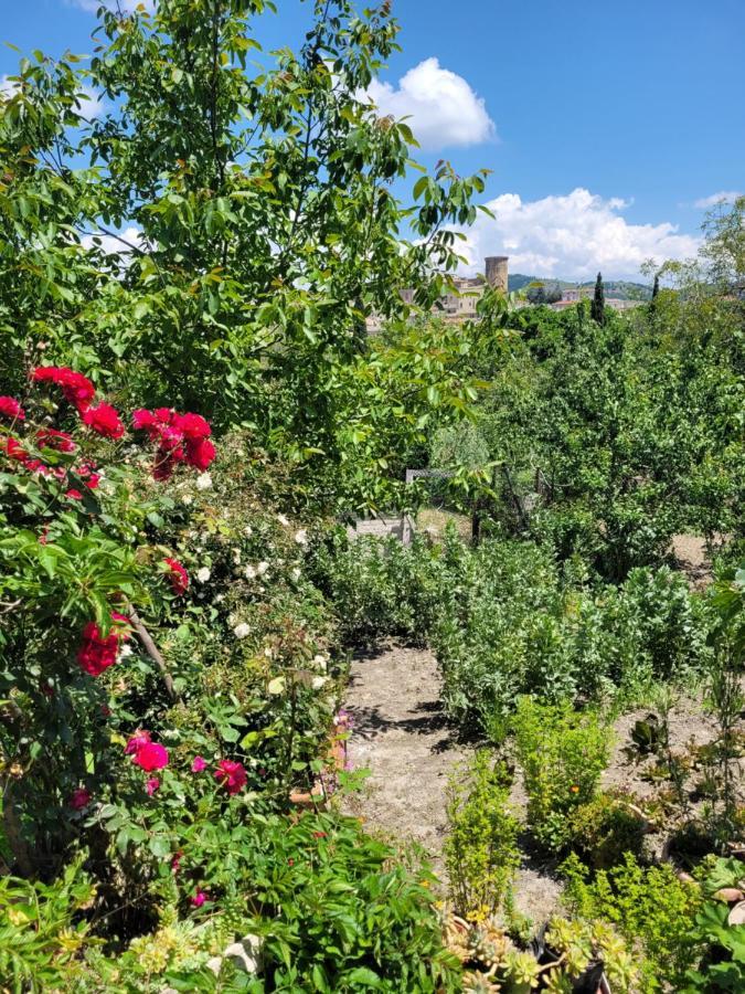 Comfort, Parcheggio E Balcone Su Tricarico In Basilicata, Io Sono Qui Dış mekan fotoğraf